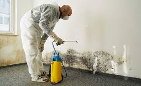 Mold Remediation for Rental Properties in Madisonville, TN